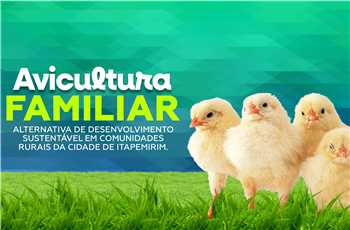 Prefeitura Municipal De Itapemirim Programa De Avicultura Vai